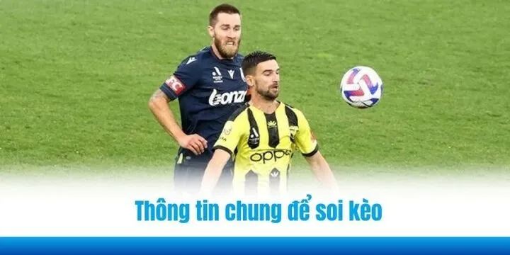 Soi kèo Wellington Phoenix và Melbourne Victory dựa trên thông tin chung